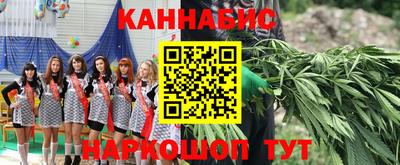 прущие грибы Апрелевка