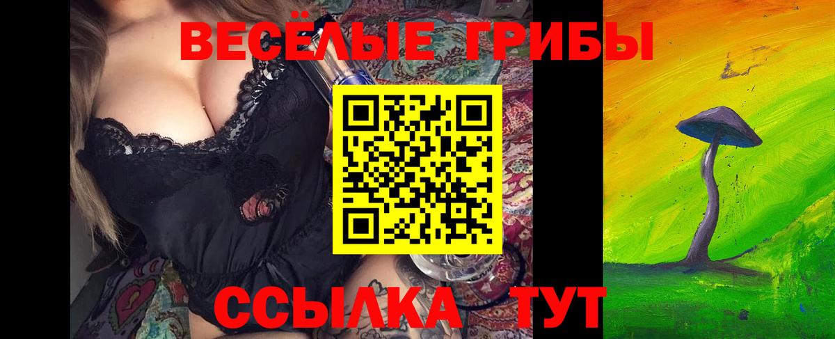 Псилоцибиновые грибы мицелий Вышний Волочёк