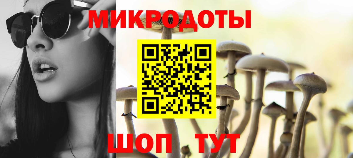 Галлюциногенные грибы Psilocybine cubensis  Вышний Волочёк 