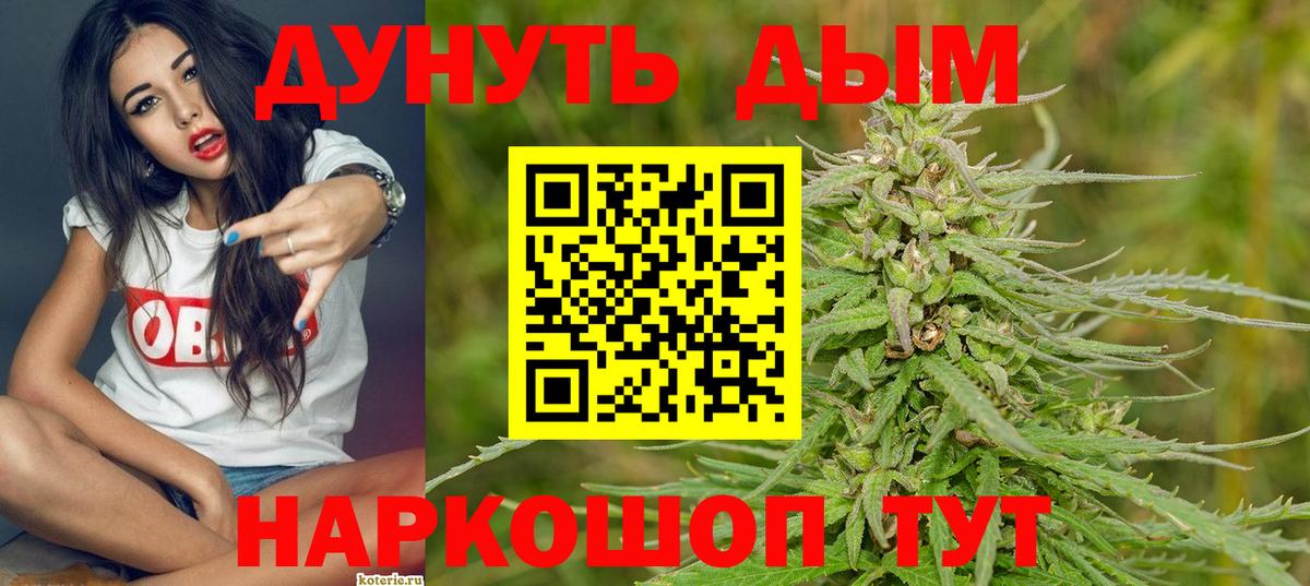 Конопля сатива Вышний Волочёк